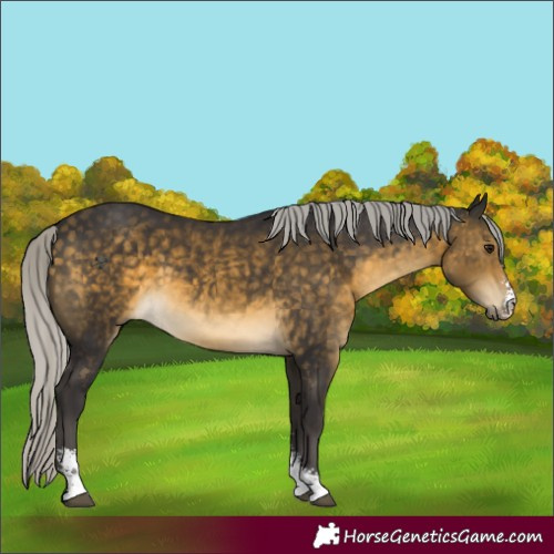 Horse Color:Silver Buckskin Sabino 