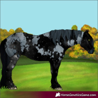 Horse Color:ERROR: UNKNOWN ANOMALY