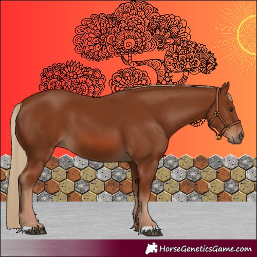 Horse Color:Chestnut 