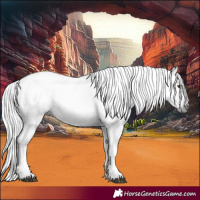 Horse Color:Gray Chestnut 