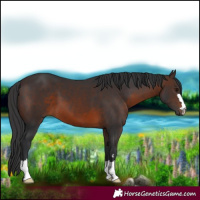 Horse Color:Brown 