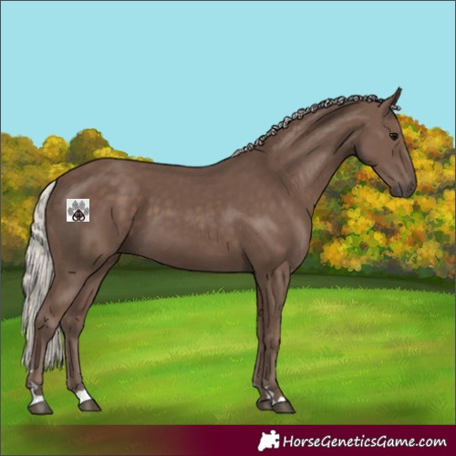Horse Color:Silver Black