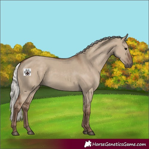 Horse Color:Silver Grullo 