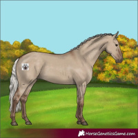 Horse Color:Silver Grullo 