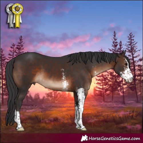 Horse Color:Brown Sabino 