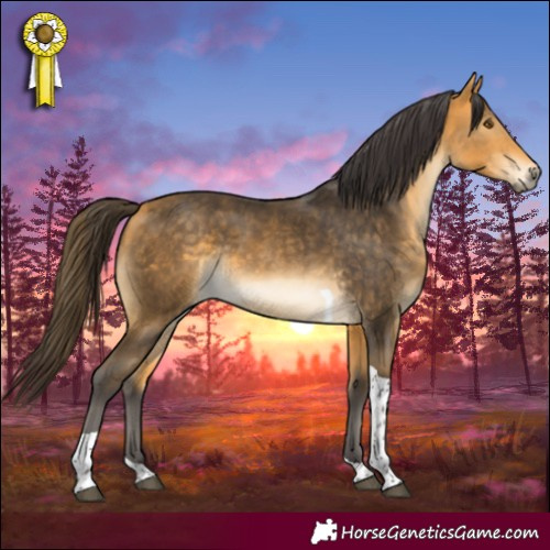 Horse Color:Buckskin Tobiano Rabicano 