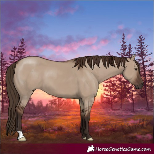 Horse Color:Liver Red Dun 