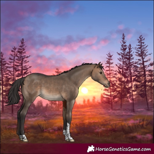 Horse Color:Brown Dun Tobiano Rabicano 