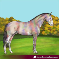 Horse Color:Nacre Amber Champagne Dun Sabino 