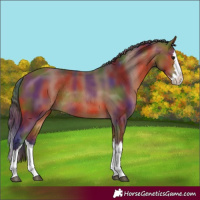 Horse Color:Nacre Bay Splash Rabicano 