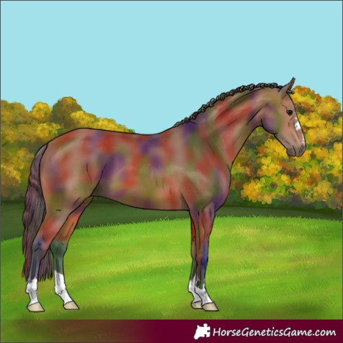 Horse Color:Nacre Bay 