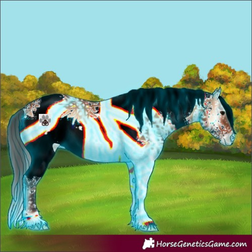 Horse Color:Thunderstruck White Spotted Bay Onyx Splash Rabicano 