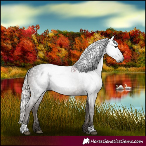 Horse Color:Gray Silver Black 