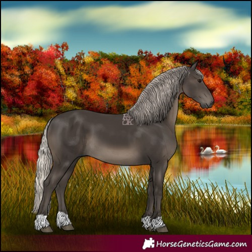 Horse Color:Gray Silver Black 