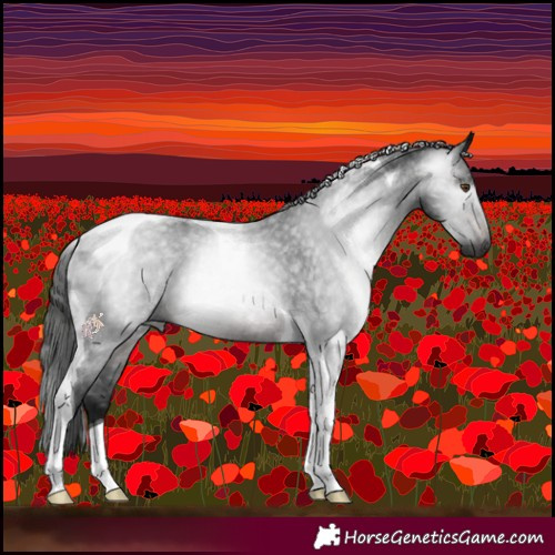 Horse Color:Gray Brown Roan Tobiano 