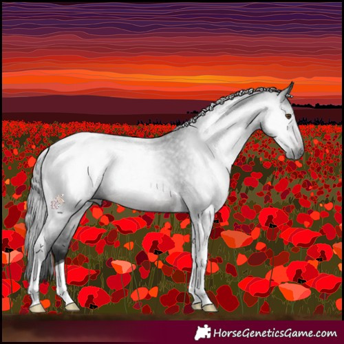 Horse Color:Gray Brown Roan Tobiano 
