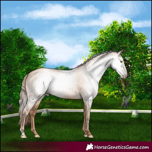 Horse Color:Gray Red Dun Pearl 