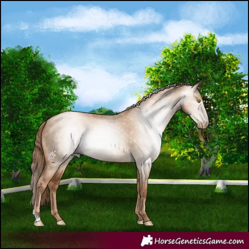 Horse Color:Gray Red Dun Pearl 