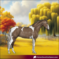 Horse Color:Gray Silver Grullo Tobiano Rabicano 