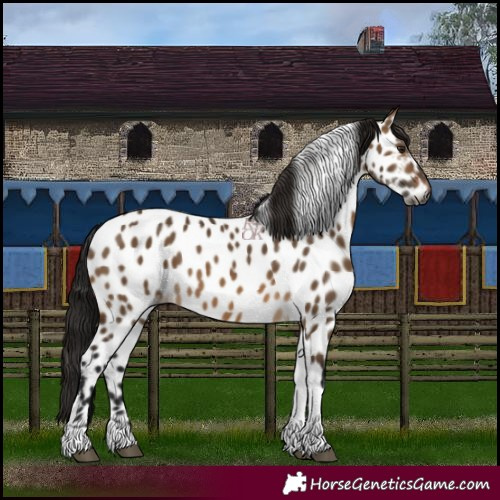 Horse Color:Gray Brown Dun Tobiano Near Leopard 