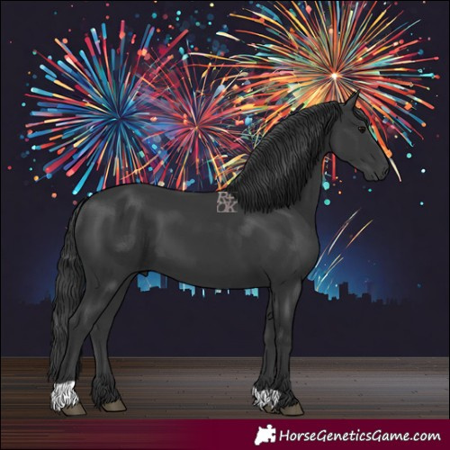 Horse Color:Black 