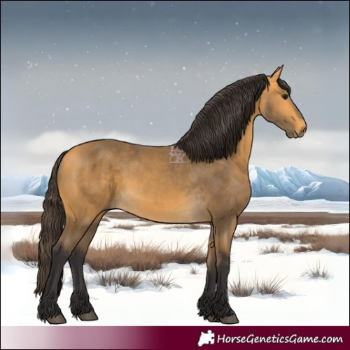 Horse Color:Buckskin 