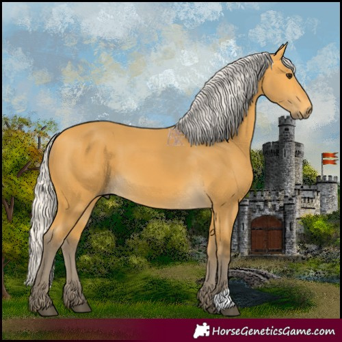 Horse Color:Silver Buckskin 