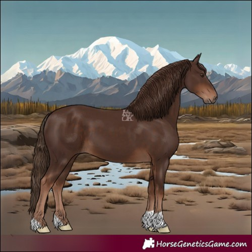 Horse Color:Liver Chestnut 