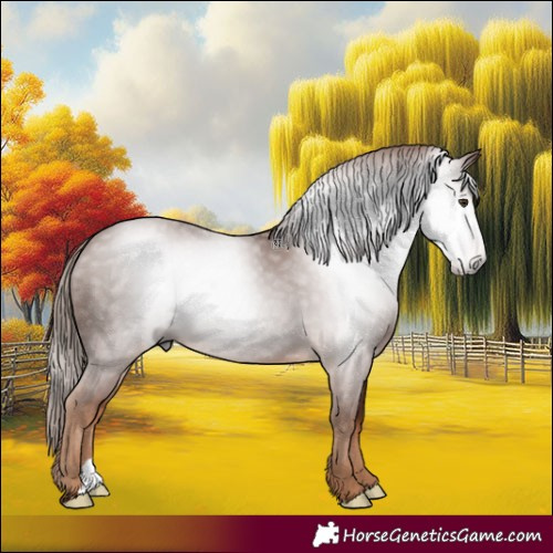 Horse Color:Gray Chestnut 