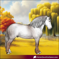 Horse Color:Gray Chestnut 