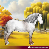 Horse Color:Gray Chestnut 