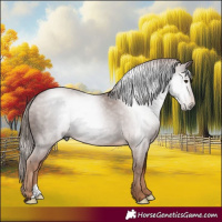 Horse Color:Gray Chestnut