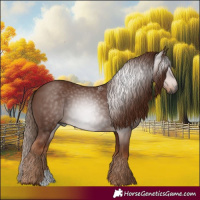 Horse Color:Gray Chestnut