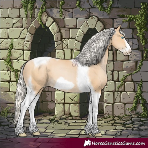 Horse Color:Silver Smoky Black Pearl Tobiano Frame 
