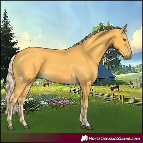 Horse Color:Palomino 