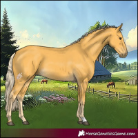 Horse Color:Palomino 
