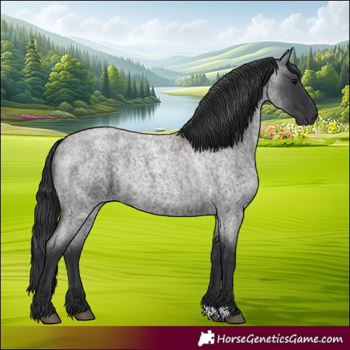 Horse Color:Blue Roan 