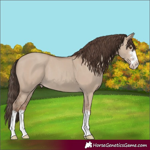 Horse Color:Classic Champagne Dun 