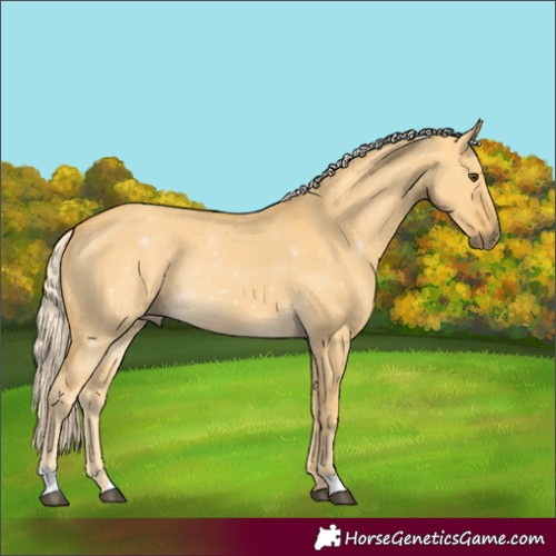 Horse Color:Palomino Dun 