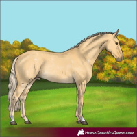 Horse Color:Palomino Dun