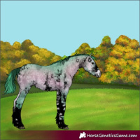 Horse Color:Void Watercolor White Spotted Bay Ice Onyx Tobiano