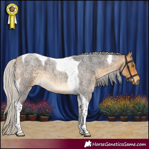 Horse Color:Silver Buckskin Roan Tobiano 
