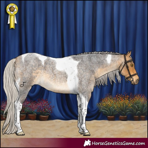 Horse Color:Silver Buckskin Roan Tobiano 