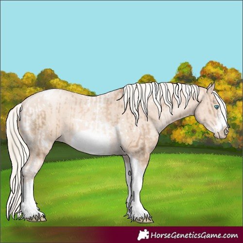 Horse Color:Chocolate Palomino Pearl Tobiano Frame  and Gold Cream Champagne Pearl Tobiano Frame 