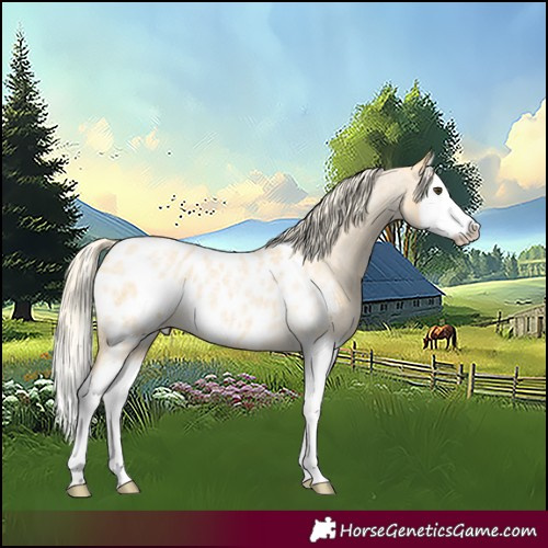 Horse Color:Palomino Roan Sabino Splash Blanket 