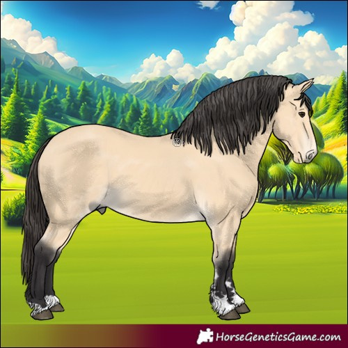 Horse Color:Buckskin 
