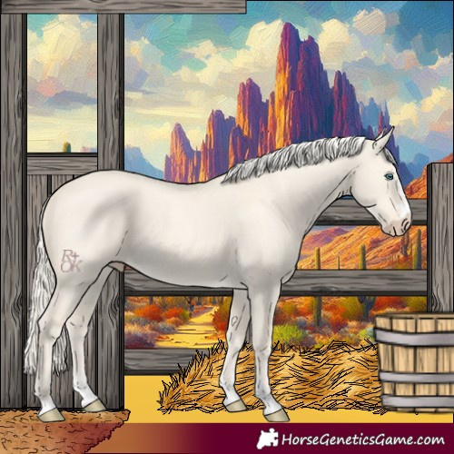 Horse Color:Cremello Dun 