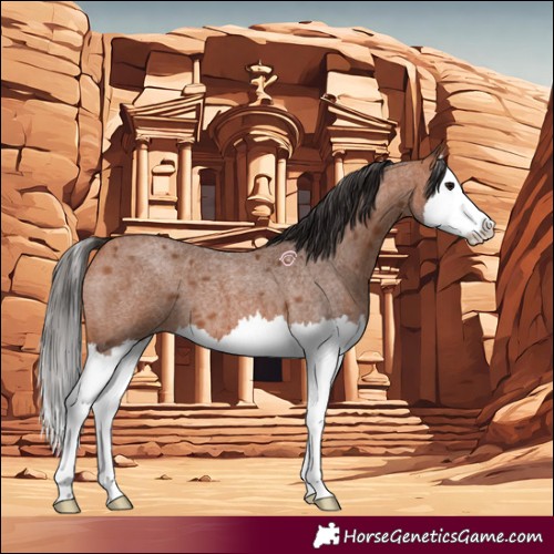 Horse Color:Bay Roan Splash 