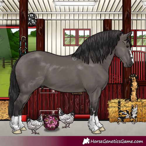 Horse Color:Smoky Grullo 