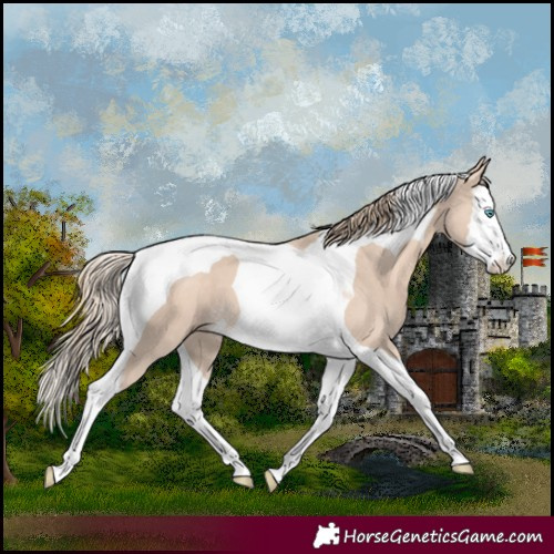 Horse Color:Perlino Splash Tobiano 